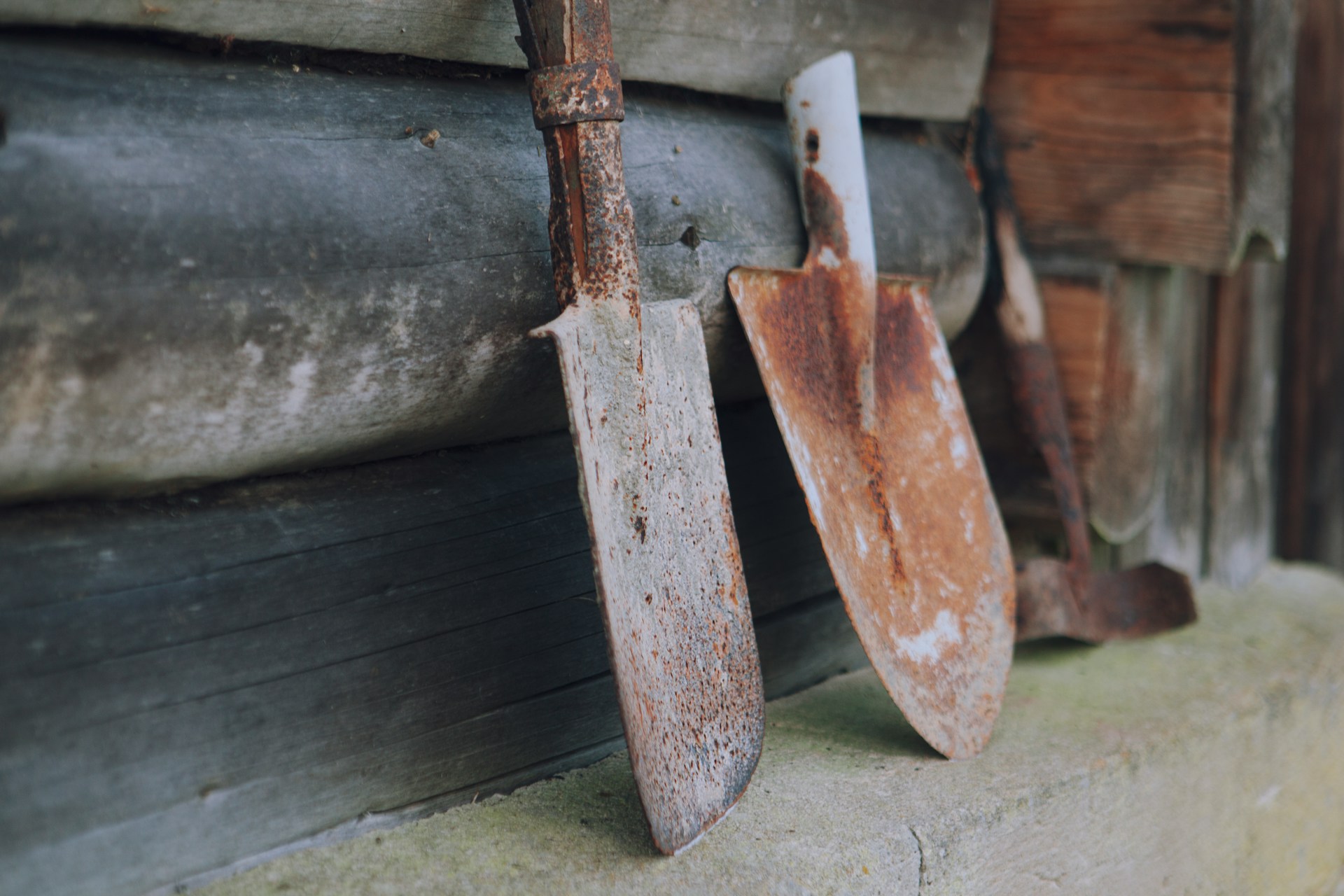 Gardening & Permaculture 101: A Beginner’s Guide to Sustainable Gardening